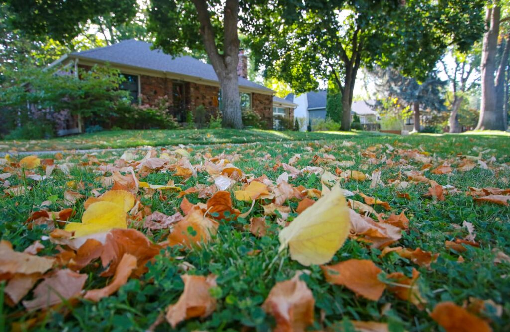 5 things you can do to protect your home from the winter